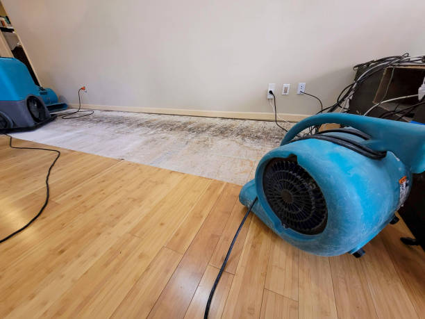 Professional Emergency Water Damage technician working in Prairie Lea, TX